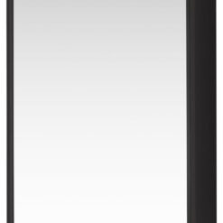 Talayuela Framed Medicine Cabinet with Mirror, Brushed Black Frame, 16"w x 24"h